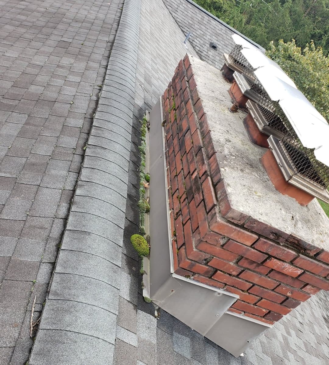 View of a roof with a brick chimney, roof shingles, and greenery along the edges.